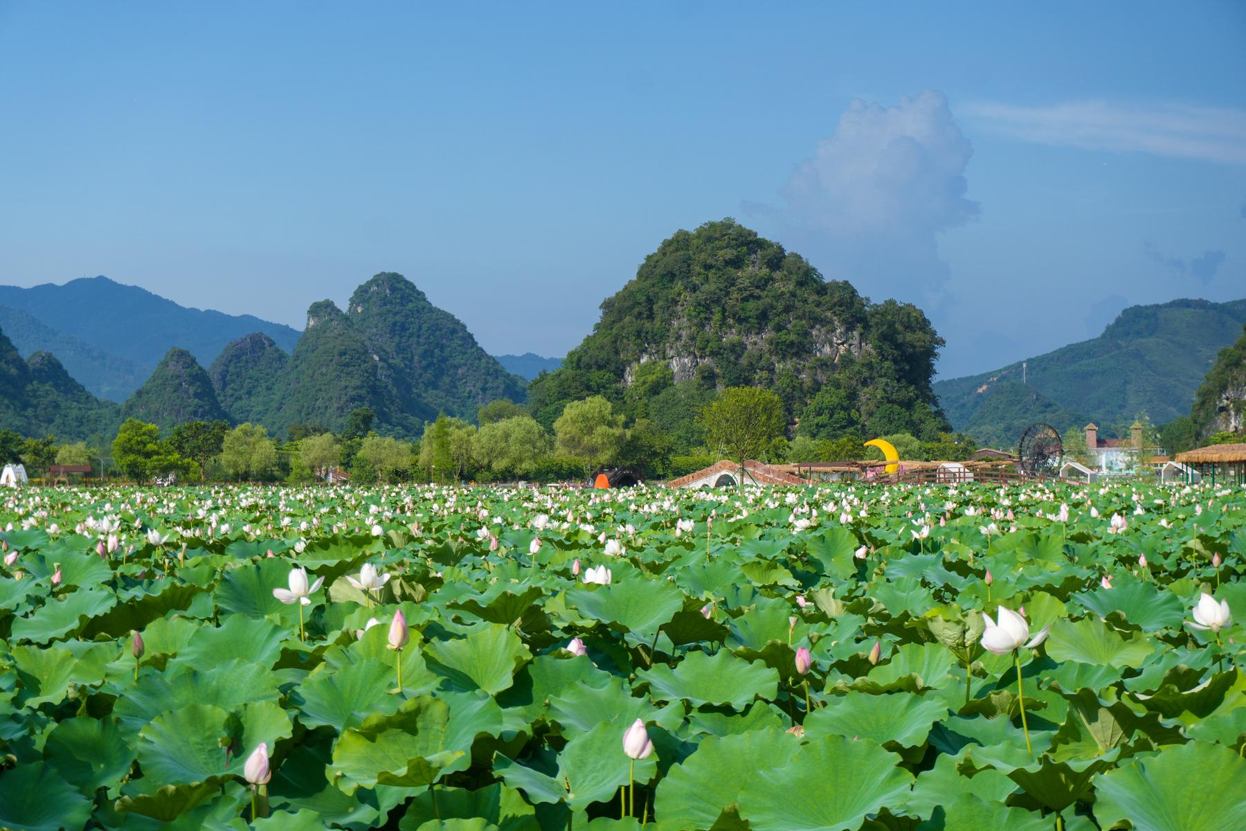 英西峰林峰林晓镇