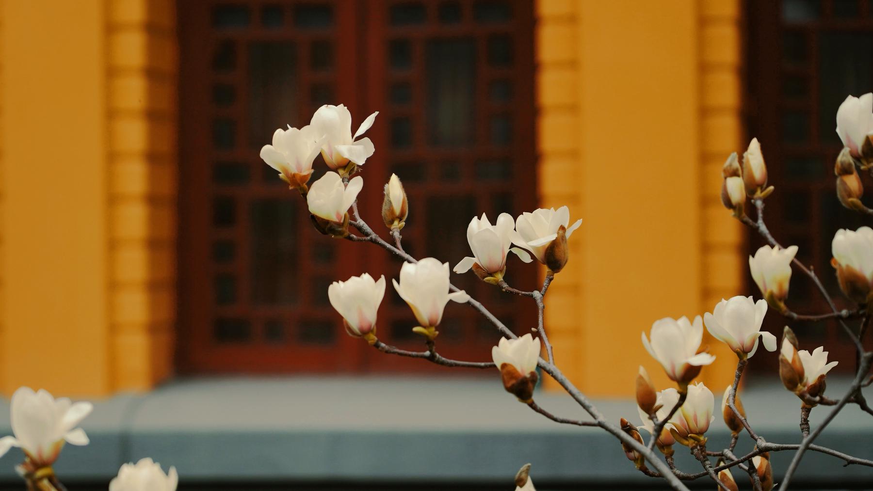 独秀峰·王城景区