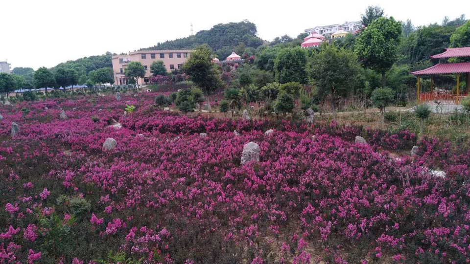 武汉市花海石林风景区