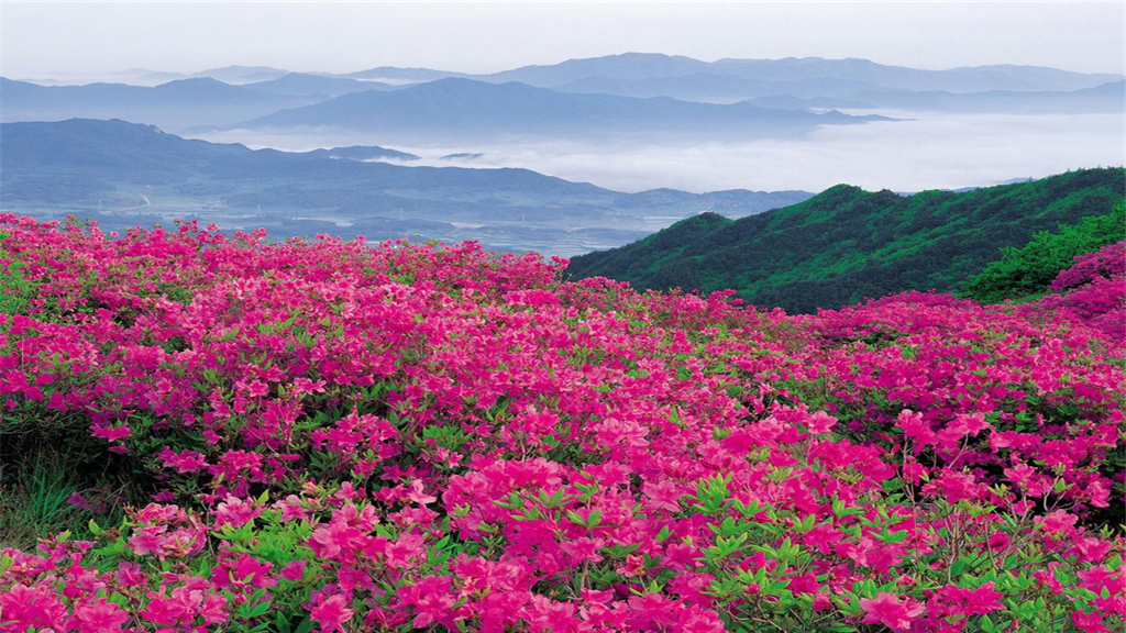 西泰山景区