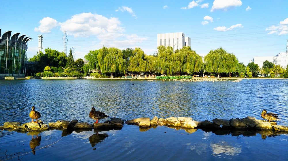 北京世界花卉大观园