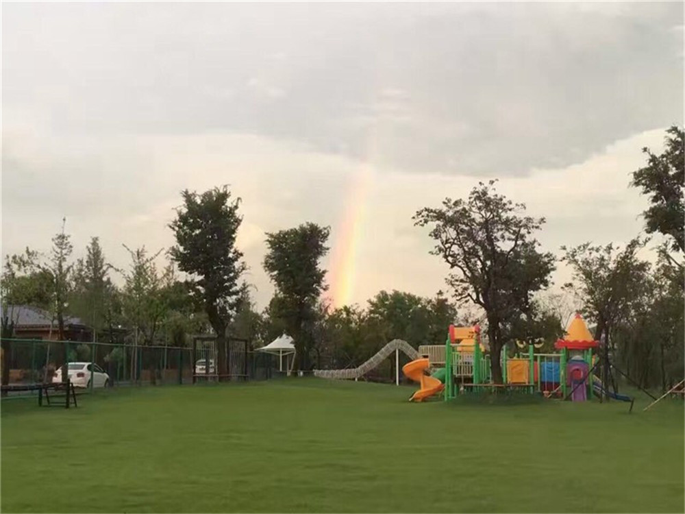 豪华全景露台行政套房（享欢迎礼遇）