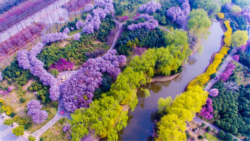 隋唐城遗址植物园