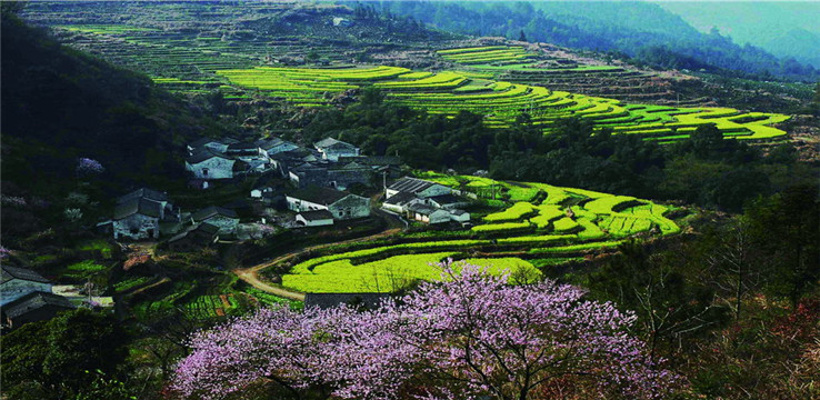 牯牛降国家级自然保护区