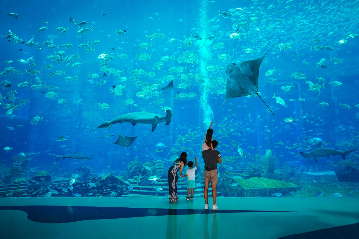 亚特兰蒂斯失落的空间水族馆
