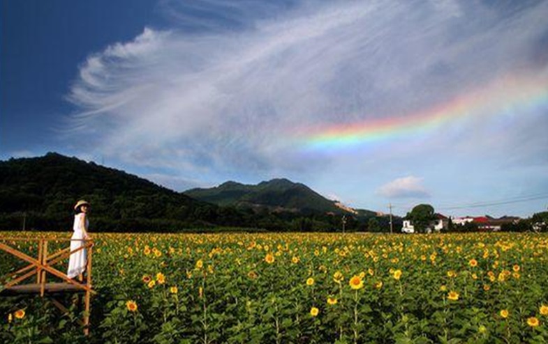 德安博阳河生态休闲风景区