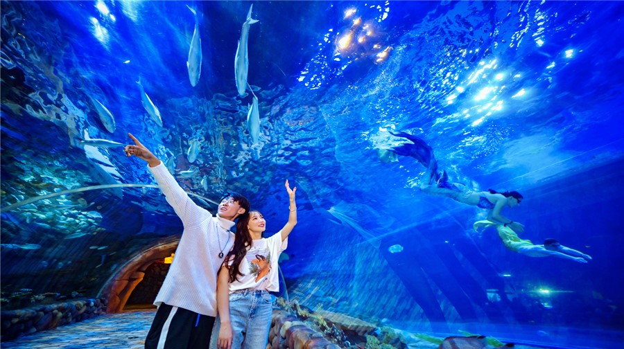 西安华夏文旅海洋公园