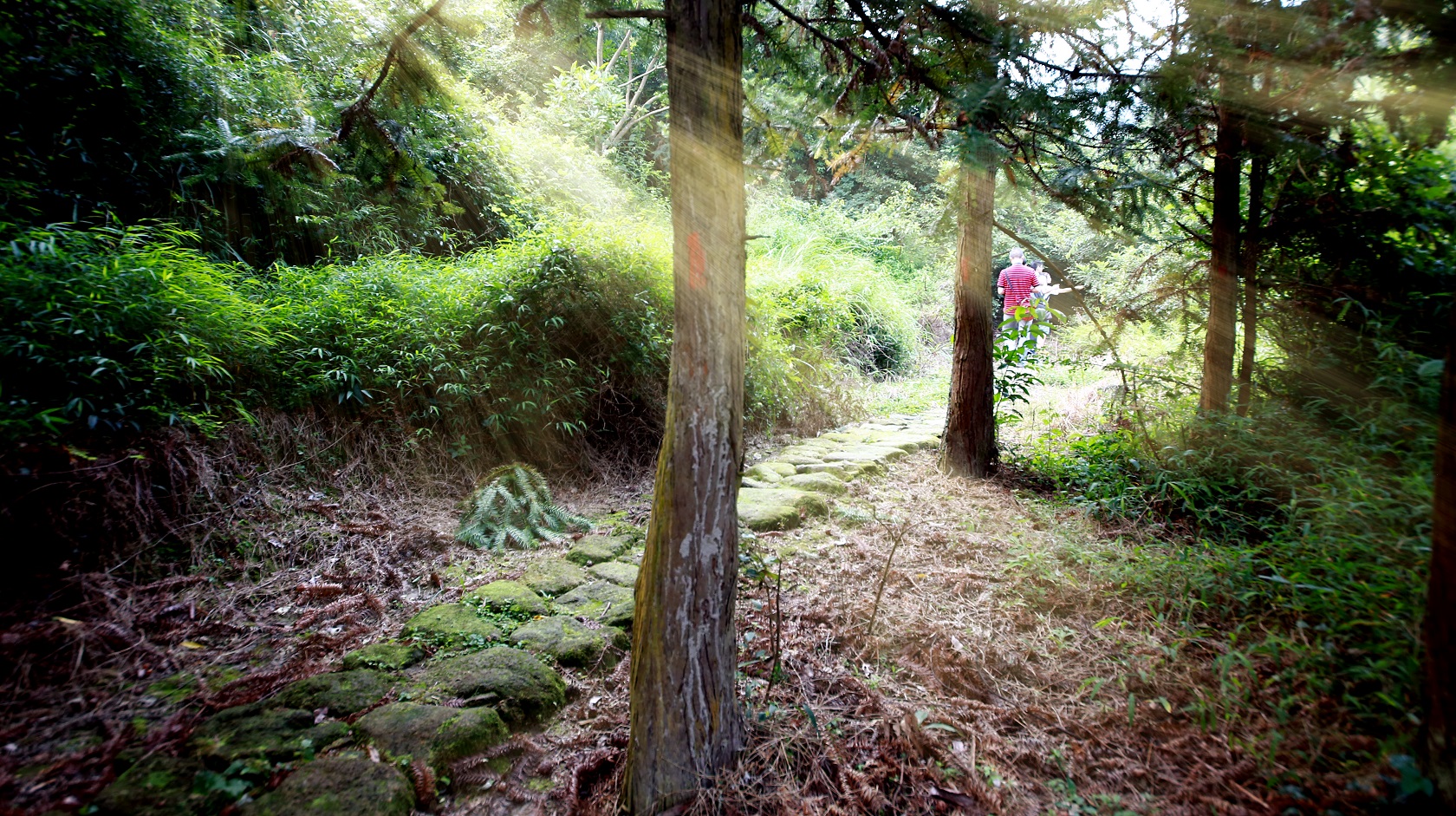 广东天露山旅游度假区