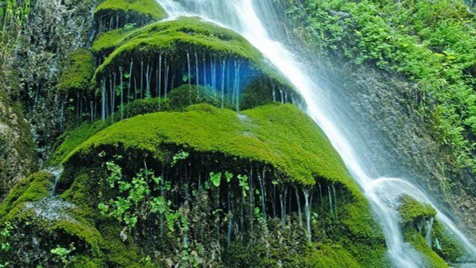 九龙瀑景区