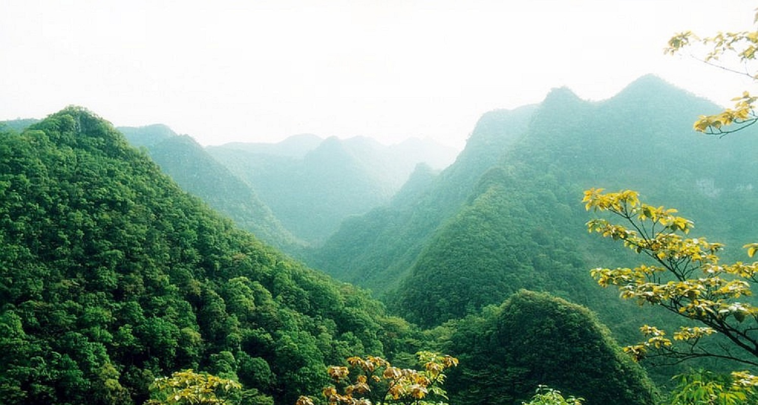 广西龙滩大峡谷国家森林公园